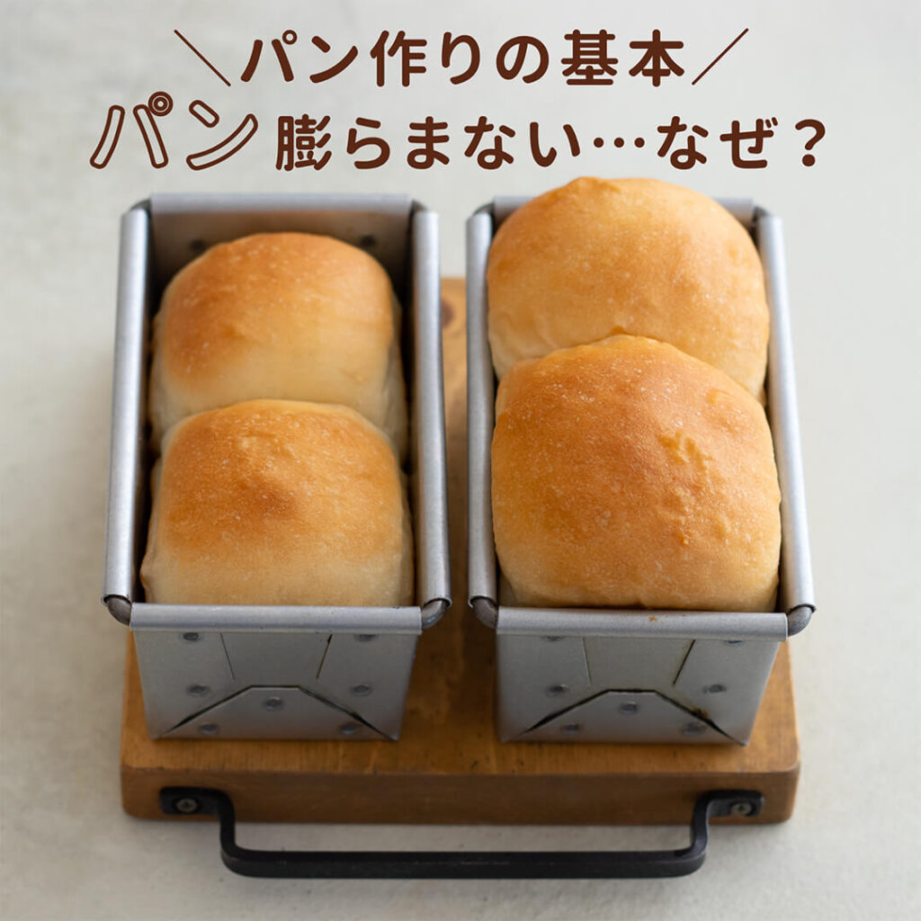 ＼基本のパン作り パンが膨らまないのはなぜ？／